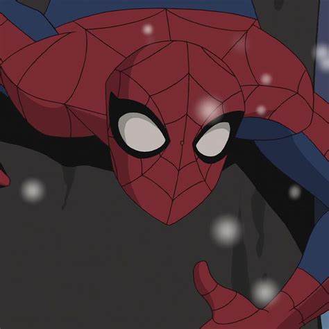 The Spectacular Spider Man Peter Parker