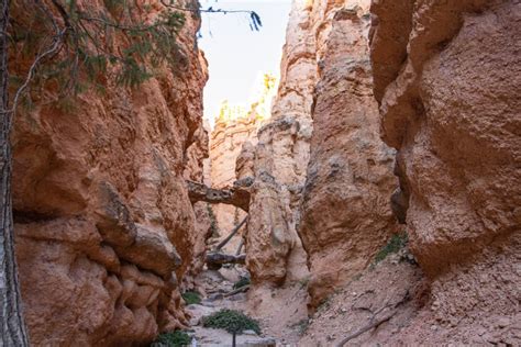 Navajo Loop Trail in Bryce Canyon – EVERYTHING you need to know! - My ...