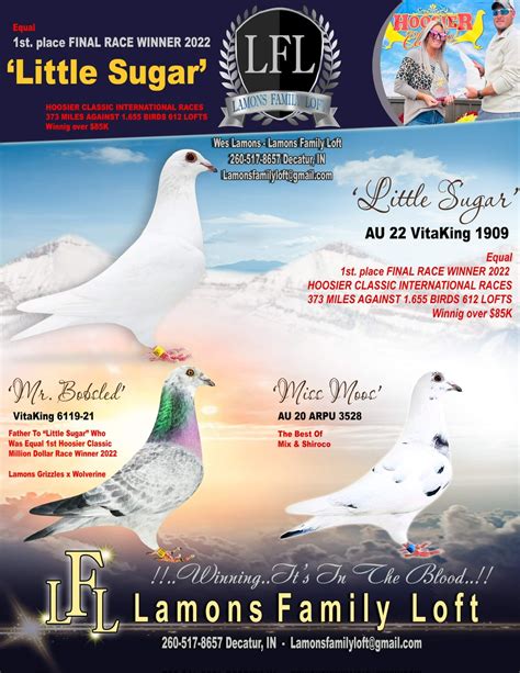 IPigeon Racing Pigeon Auction