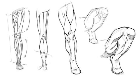 How To Draw Legs Anatomy Study For Comic Artists Youtube