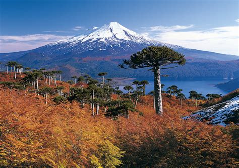 Tours Temuco Turismo Lagos Andinos