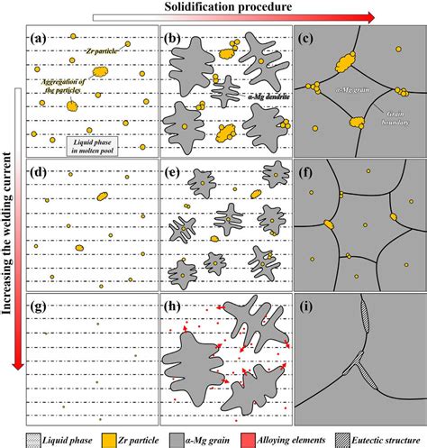 Mechanism Schematics Of The Microstructure Formation In Molten Pools