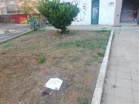 Un Cartel Da Las Gracias Por No Limpiar Las Cacas De Un Perro En