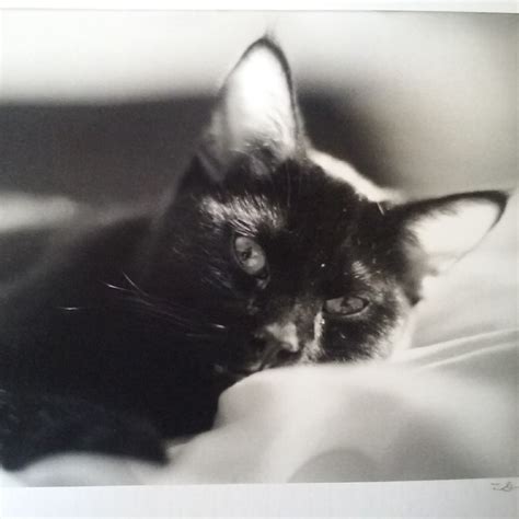 wyoming road conditions 2