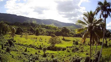 Finca En Ventas Provincia Monte Plata En El Municipio De Yamasa