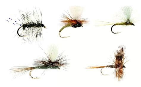 Must Have Dry Flies Fulling Mill Fly Selection Czechnymph