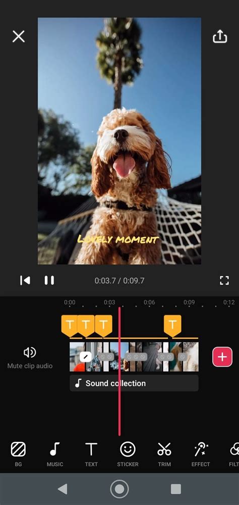 Video Guru APK Download for Android Free