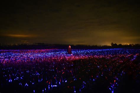 Grow Lopera Di Light Design Che Daan Roosegaarde Ha Progettato Per