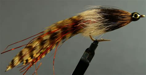 Brown Trout Streamer Pattern | SwittersB & Exploring