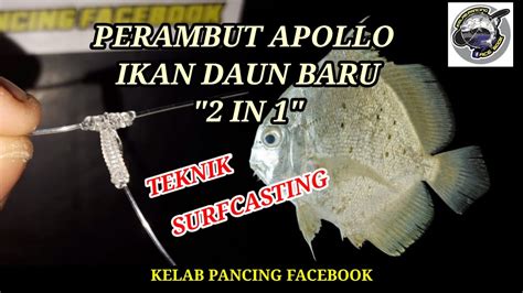 Cara Cara Ikat Perambut Apollo Ikan Daun Baru 2 In 1 Teknik