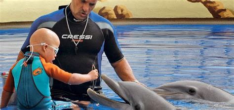 100ciamcnews Dan Terapias Con Delfines A NiÑos Con Discapacidad