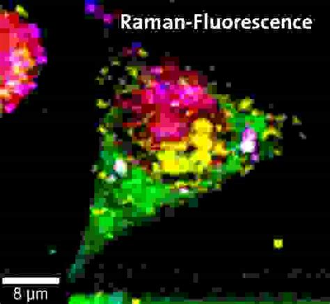 Correlative Raman Microscopy Witec Raman Imaging Oxford Instruments