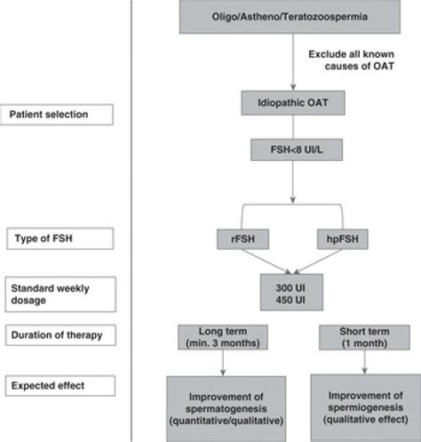 Chapter 8 Fsh Treatment In Male Infertility Obgyn Key