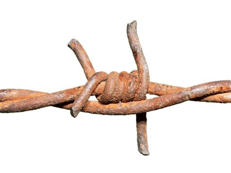 Rusty Barbed Wire Png - In additon, you can discover our great content using our search bar ...