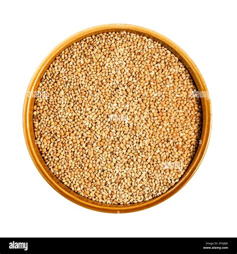 Top View Of Unhulled Yellow Proso Millet Seeds In Round Ceramic Bowl