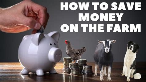 How To Save Money On The Farm Youtube