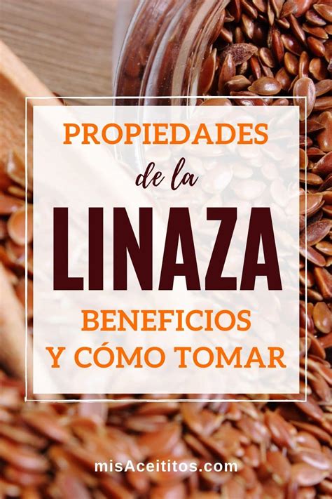 Linaza Semillas De Lino Beneficios Propiedades Y C Mo Tomar