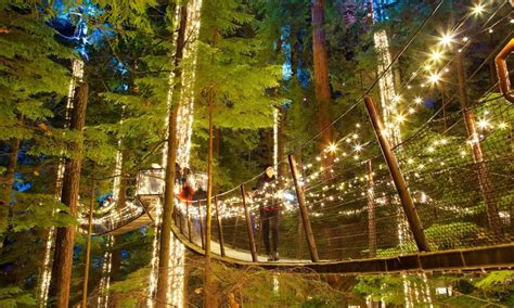 Canyon Lights returns to Capilano Suspension Bridge this holiday season | Events