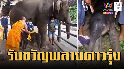 เปดนาท พงนองเมย ตกลกเชอกแรกของป สวนนงนช ลำดบท 105 YouTube