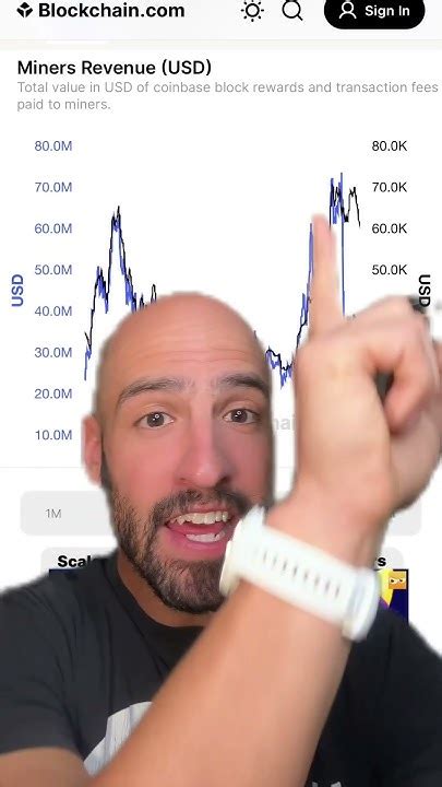 The Real Reason For Bitcoin Crash Youtube