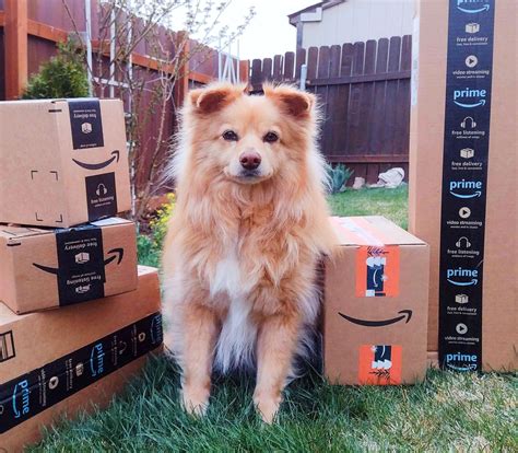 10 homemade natural weed killers that actually work – Artofit