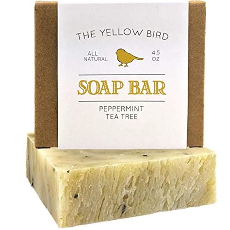 10 Best Antifungal Soaps To Buy Online In 2022 - Stylecraze