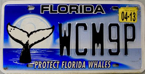 2013 Florida Protect Florida Whales License Plate Wcm9p