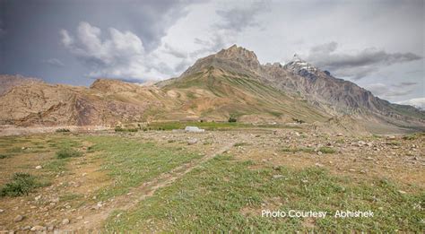 Pin Valley National Park, Lahaul & Spiti Himachal Pradesh, Wild life India