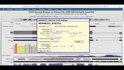 Uploading And Visualizing Chip Seq Data In The Ucsc Genome Browser A