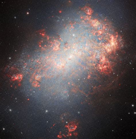 Astronomers Observe Starburst Galaxy NGC 4449 | Sci.News