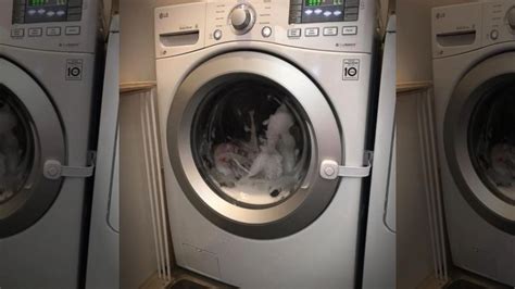 Parents say toddler got stuck in washing machine | GMA