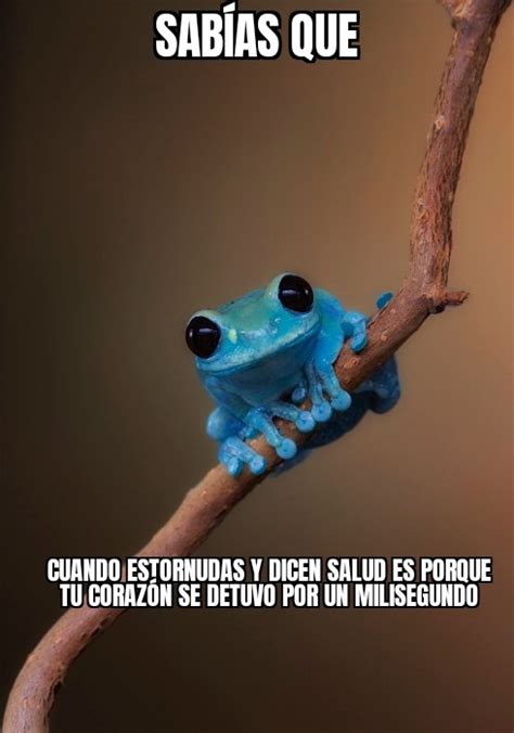 Top Memes De Datos Curiosos En Espa Ol Memedroid