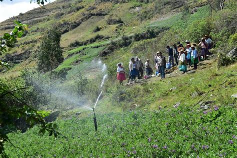 Andes Resilientes En Bolivia La Agroecolog A Como Aliado De La