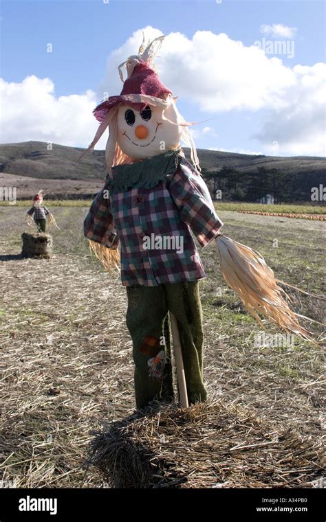 Smiley Face Scarecrow Hi Res Stock Photography And Images Alamy