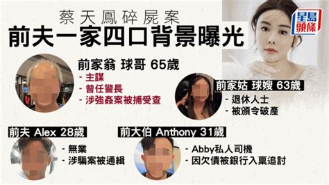 蔡天鳳碎屍案｜疑兇一家四口大起底 破產追數令纏身淪港版「上流寄生族」 星島日報