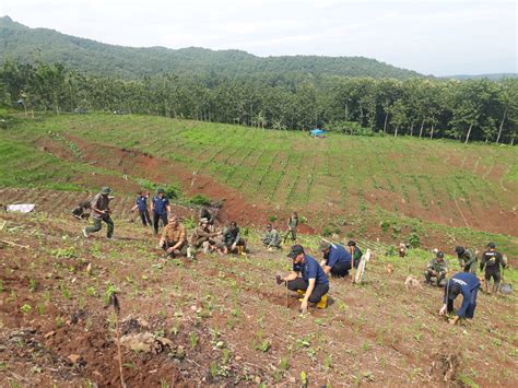 Masyarakat Desa Hutan Lmdh Tembong Sari Tanam Pohon Jenis Jati