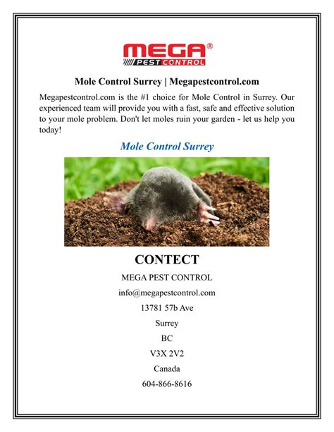 Ppt Mole Control Surrey Megapestcontrol Powerpoint Presentation Free