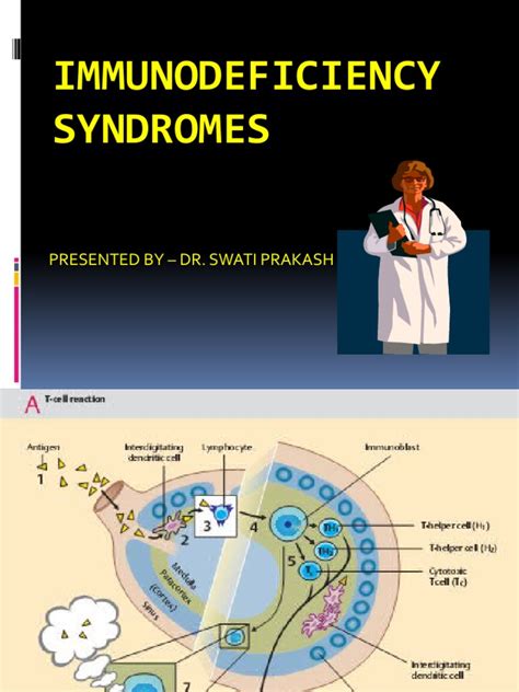 Immunodeficiency Syndromes Pdf Immunodeficiency Lymphocyte