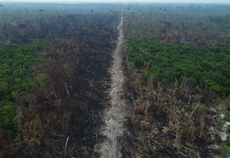 Imazon Desmatamento da Amazônia em 2022 já corresponde a 8 vezes a