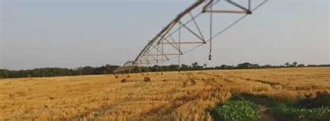 Bold about impact | Annual Review 2024 | BII