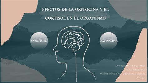 Efectos De La Oxitocina Y El Cortisol En El Organismo By Leti Perez