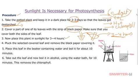 To Prove That Sunlight Is Necessary For Photosynthesis 10th Biology