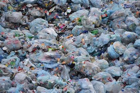 Serious Effects Of Plastic Bags Causing Environmental Pollution