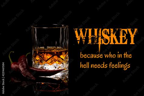 Whiskey Meme, because who in the hell needs feelings, funny memes and ...