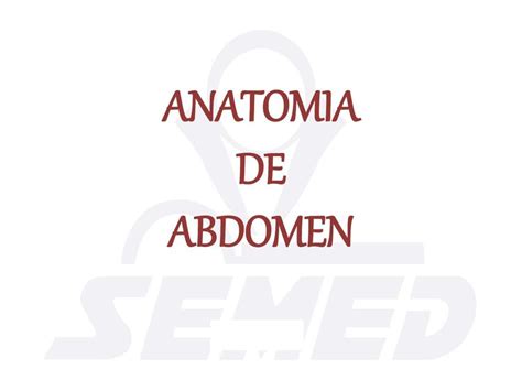 Anatomía De Abdomen Udocz Creators Udocz