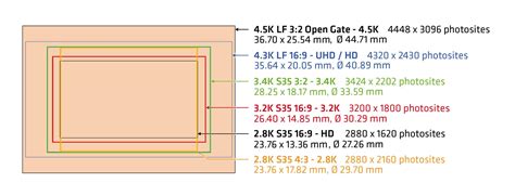 Accesorios ozono Lógico arri alexa sensor size hijo filosofía Violar