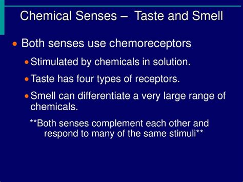 The Senses Ppt Download