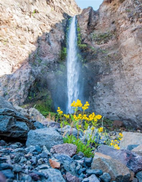 Lais Puzzle Riesiger Wasserfall in der Wüste Detail des Wüstenlebens