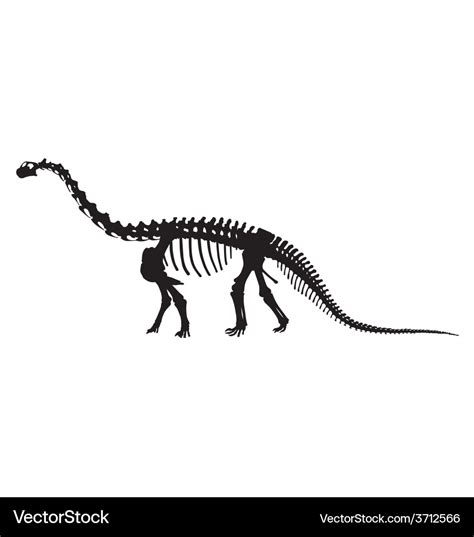 Dinosaur skeleton silhouette Royalty Free Vector Image