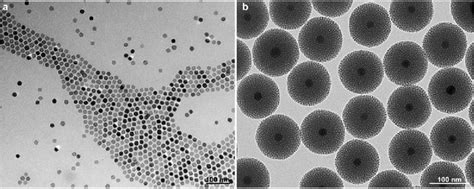 Characterization Of Magnetic Mesoporous Silica Nanoparticles M Msns